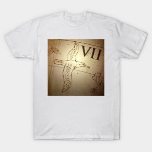 VII: The Albatross (Map) T-Shirt